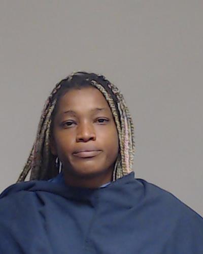 Ervin, Logan Demetrius arrested by Collin County SO/PD