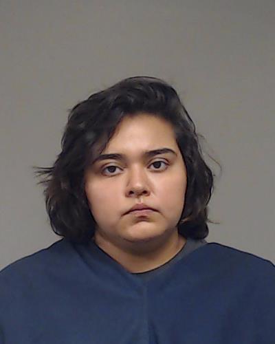Alvarenga, Katheryn Ann arrested by Collin County SO/PD
