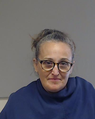 Wilkins, Brenda Lynn booking photo