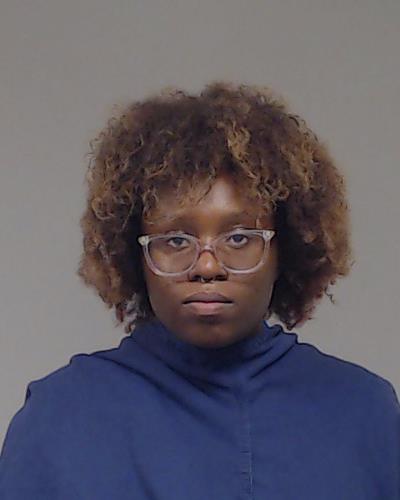 Rooters, Adrienne Michelle arrested by Collin County SO/PD