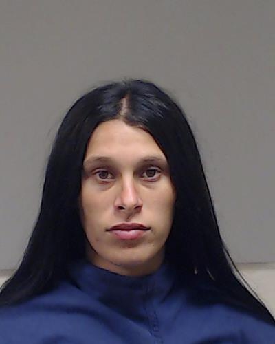 Iordache, Iasmina Iunie arrested by Collin County SO/PD