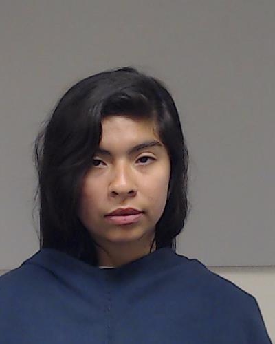 RODRIGUEZ, JOSELYN LIBETH arrested by Collin County SO/PD