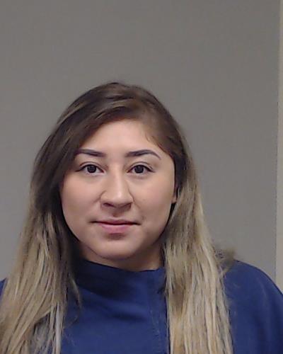 Yanes, Sandra booking photo
