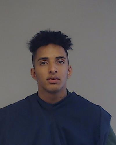 Valdes-Fajardo, Dreyansi booking photo