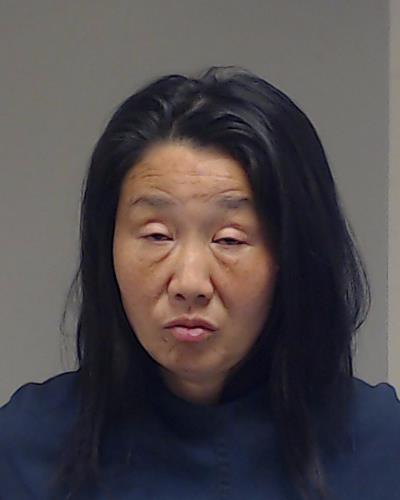 Liu, Yiwen booking photo
