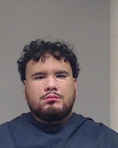 Camero Ceballo, Luis Eduardo booking photo