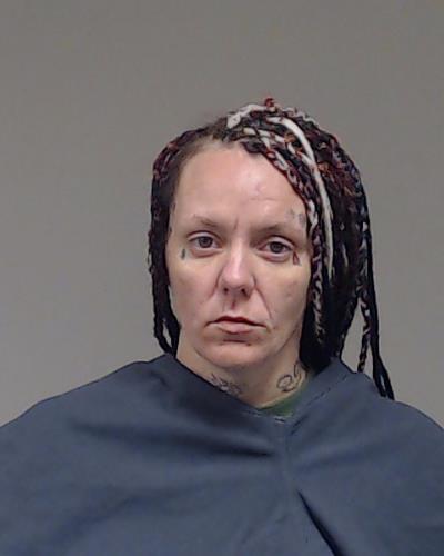 Giannini, Heather Lynn arrested by Collin County SO/PD