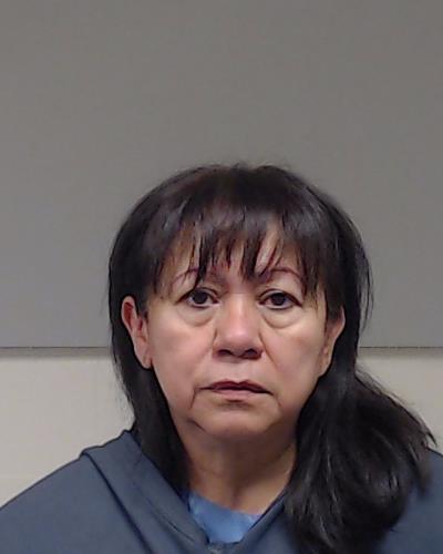 Monahan, Ana Haydee booking photo