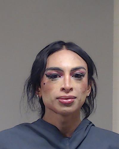 Gonzales Diaz, Jose Evelio booking photo