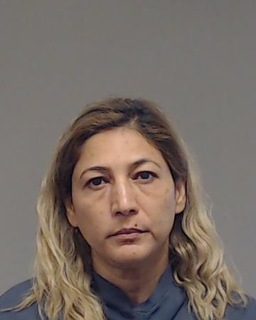 Arreaza, Rosa Maria booking photo