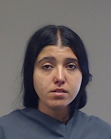 NISTOR, MARIANA booking photo