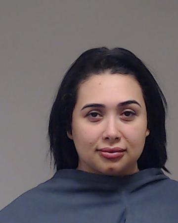 Polanco, Ruth booking photo