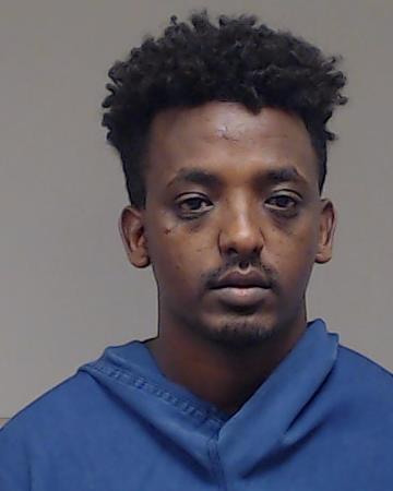 AREGAWI, TEKLIT GEBREMEDHIN booking photo