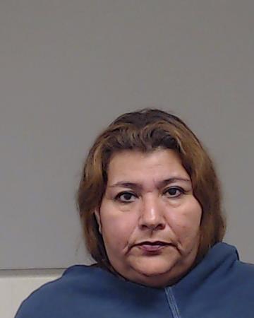 Gallegos, Rosa Terrones booking photo