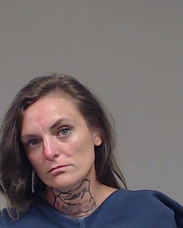 BILLINGSLEY, MELISSA LAUREN booking photo