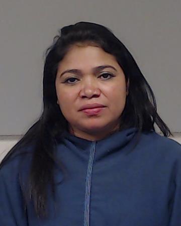 Alvarado-Galo, Michell booking photo