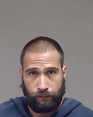 PETKOV, MIRKO VESELINOV booking photo