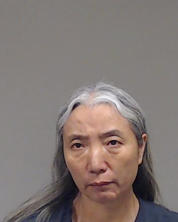 Wang, Jumei booking photo