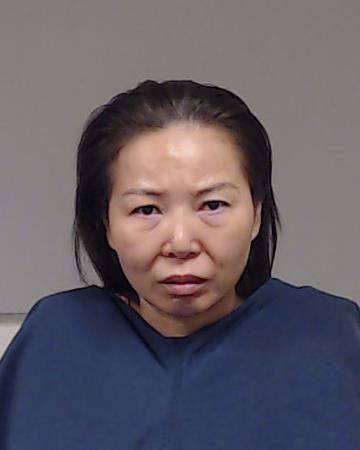 WEI, HUAYING booking photo