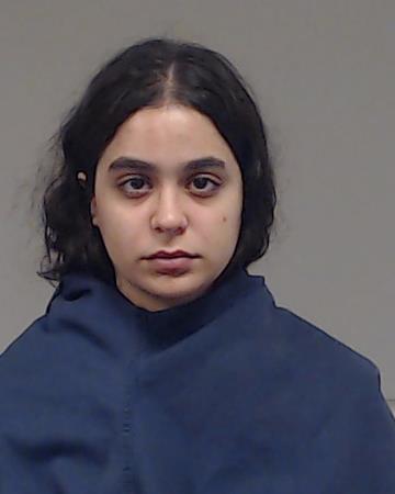 Allam, Yasmeen Ali booking photo