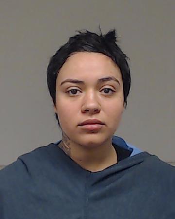 SMITH, LIZETH R booking photo