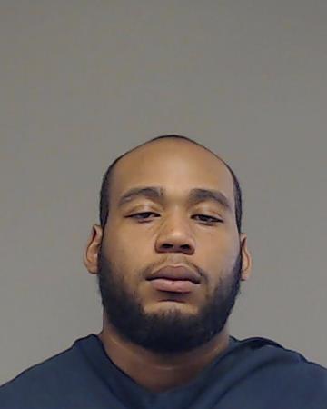 Hudson, Devon Delano booking photo