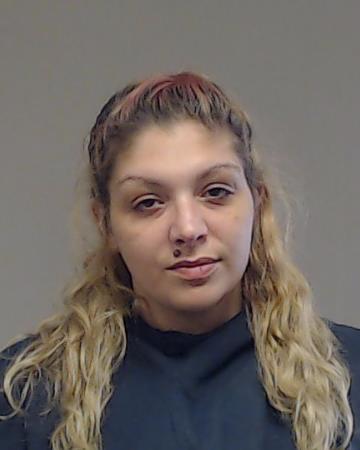 Afkami, Nikita Pardis booking photo