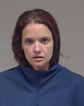 Steere, Hillary Ingram arrested by Collin County SO/PD