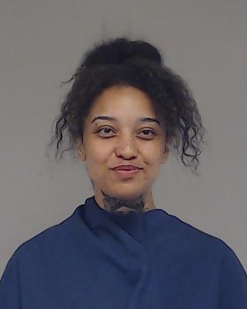 Werbel, Blaike arrested by Collin County SO/PD