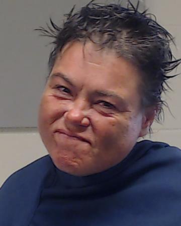 Hickey, Nisa Sue arrested by Collin County SO/PD