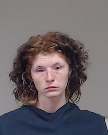 Dodge, Samantha Nicole arrested by Collin County SO/PD