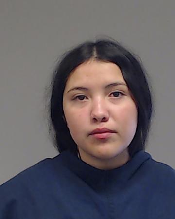 Rubio, Arianna Michelle arrested by Collin County SO/PD