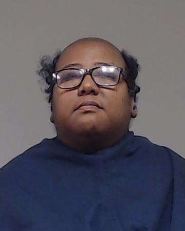 Deleon, MIchele Ann booking photo