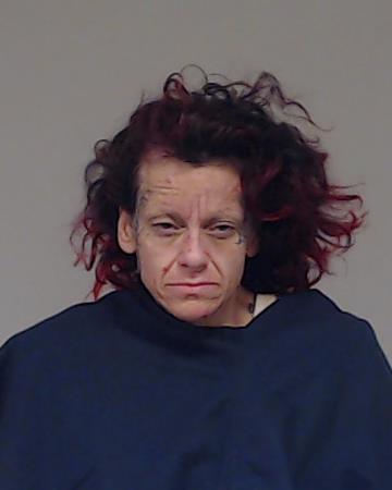 Ramirez, Shastell Fayme booking photo