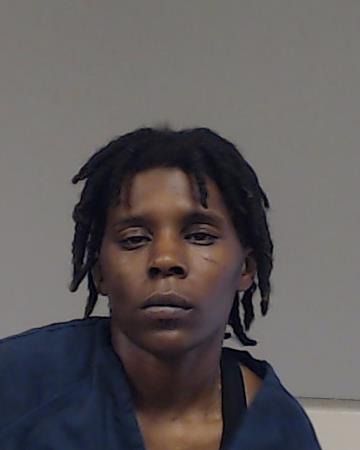 McGee, Ashley Nicole booking photo