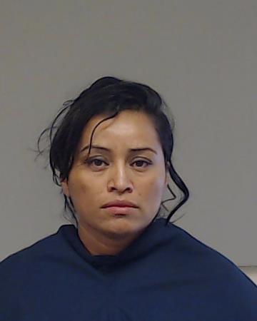 Garcia-Santos, Elvia Eugenia booking photo