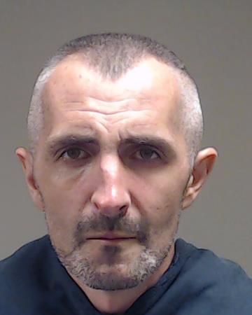 Raykhel, Vladislav booking photo