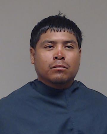 Luna-Pichardo, Anselmo booking photo