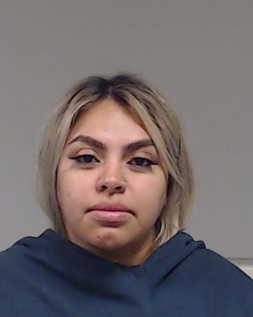 Perez, MIchelle Cecilia arrested by Collin County SO/PD