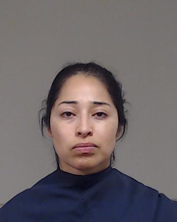DIAZ, ROSA ELIZABETH booking photo