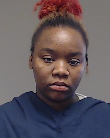 Raibon, Erykauh Dion arrested by Collin County SO/PD