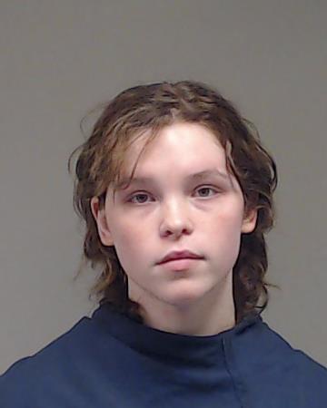 GIBSON, HAILEY MICHELLE arrested by Collin County SO/PD