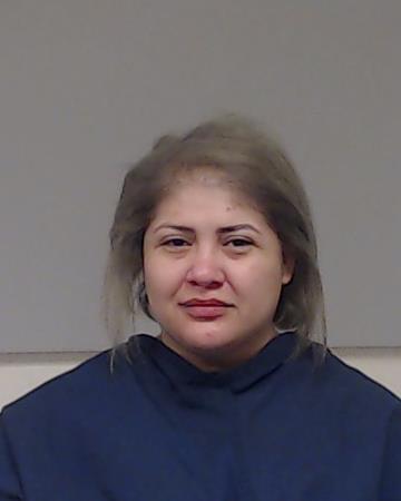 Bariteau, Gina Kathleen booking photo