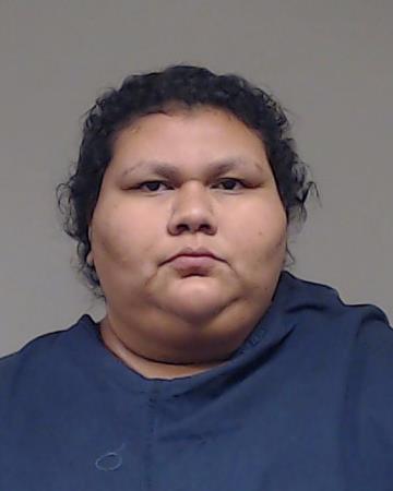 Flores-Patino, Karen booking photo