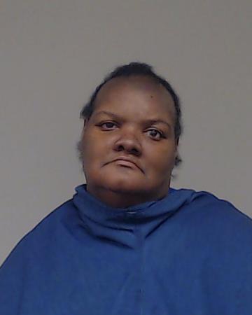 WILLIAMS, BRENDA KAY booking photo