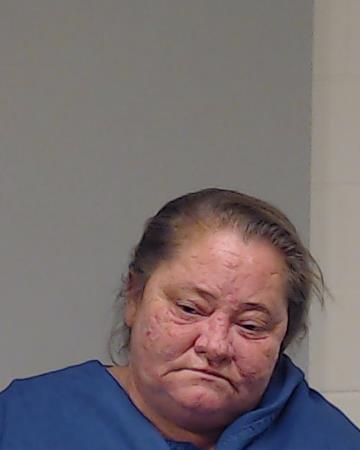 Flores, Amy Denise arrested by Collin County SO/PD