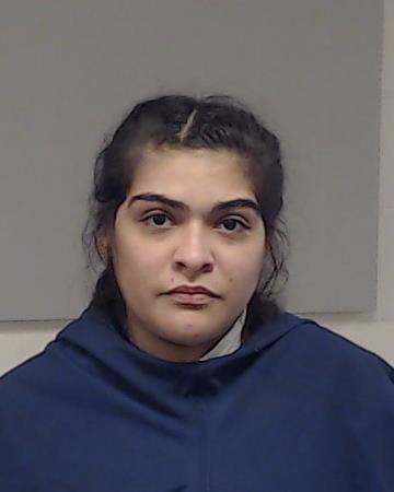 Monsivais, Liza Marie booking photo