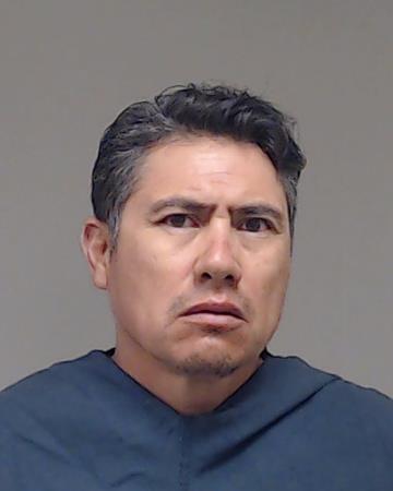 ESTRADA-LOZANO, MIGUELA booking photo