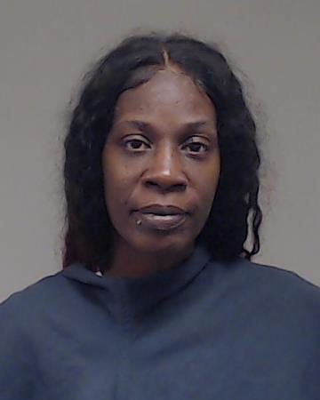 Young, Ashley Nicole booking photo