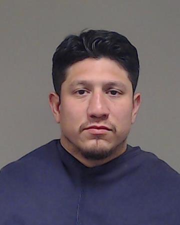 Palomino, Johnathan Daniel booking photo